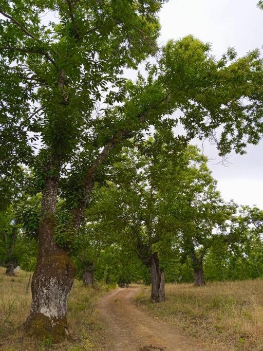 Vivienda Rural Sentirte 2 Centro De Aracena Lejlighed Eksteriør billede